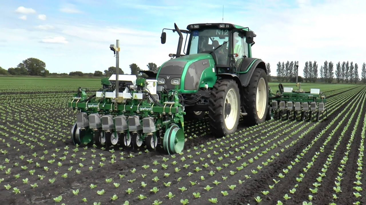 Automatic in-row weeder