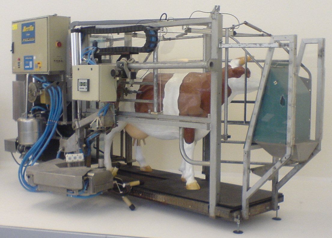 Automatic cow milking machine