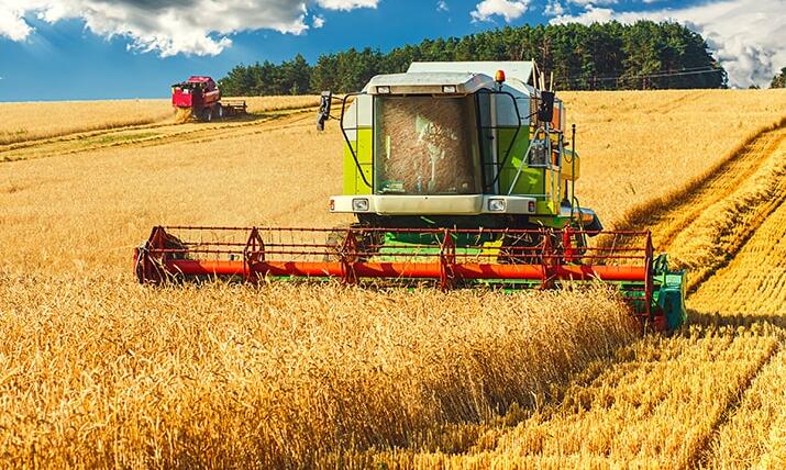 Combine harvester
